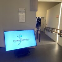 IMG_7556 (Copy) IMG_7556 (Copy)